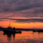 Путин закрыл тему: вместо мирного договора с Японией будет вторая Одесса