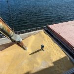 Зерно по осени считают: кто проиграет от взаимных «зерновых» ударов в Черном и Азовском море