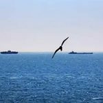 Украина не может остановить российскую кампанию против судоходства в Черном море