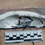 Владислав Шурыгин: Бомбы в стельках. Как ответим?